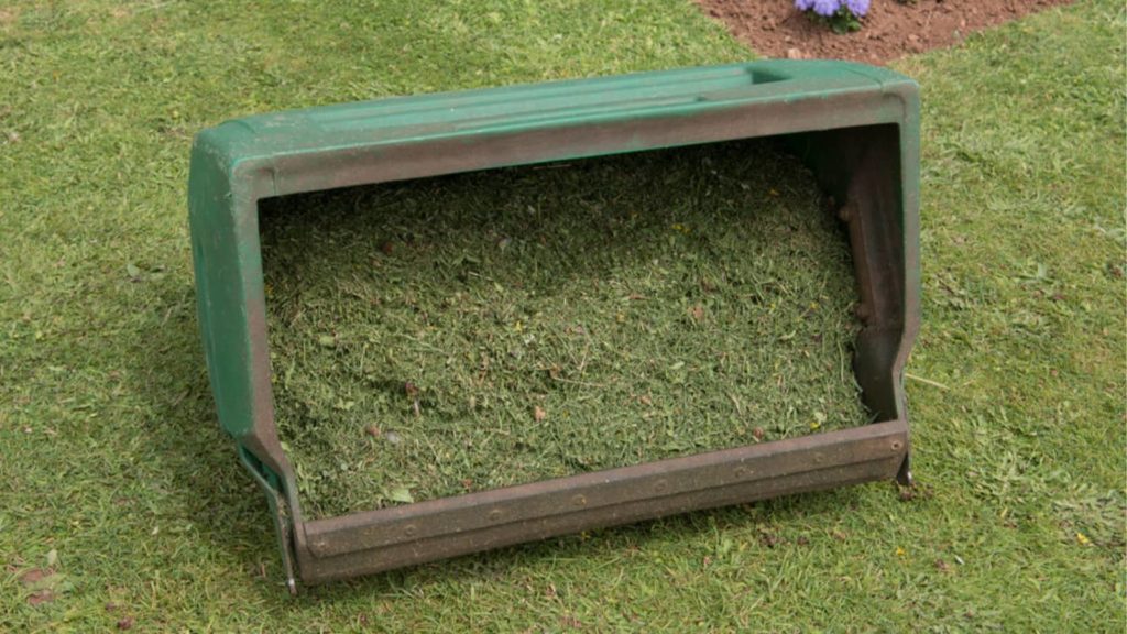 leftover mower clippings