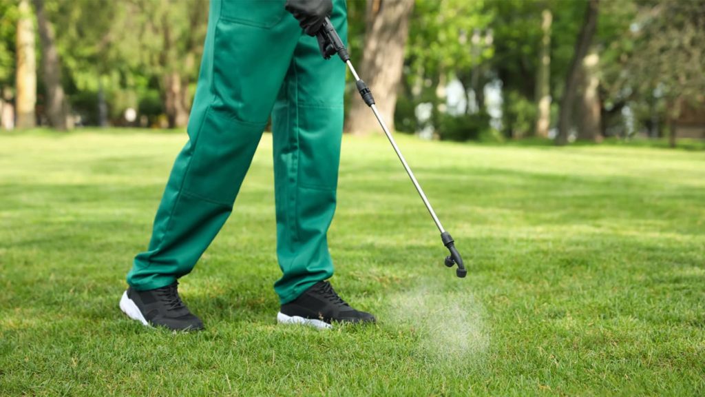 Spraying Herbicide On Grass