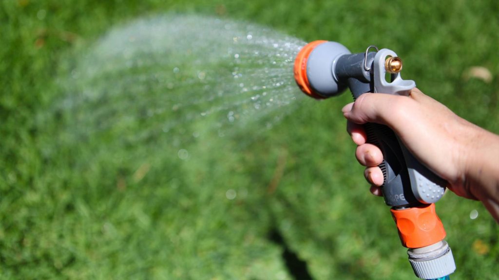 watering lawn with hose sprayer