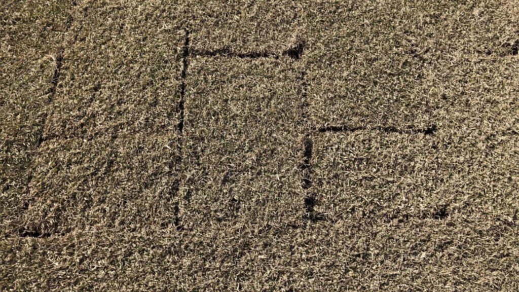 Installing Sod In The Winter Dormant Grass