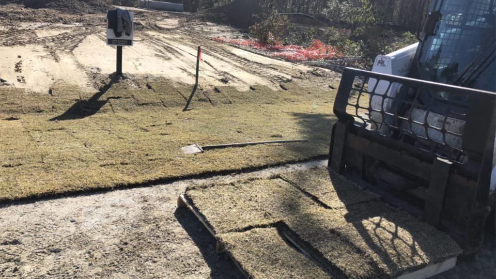 Laying Sod In Winter Dormant Install