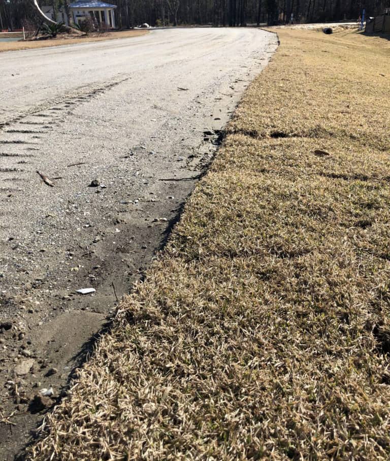 Dormant Sod Installed In Winter