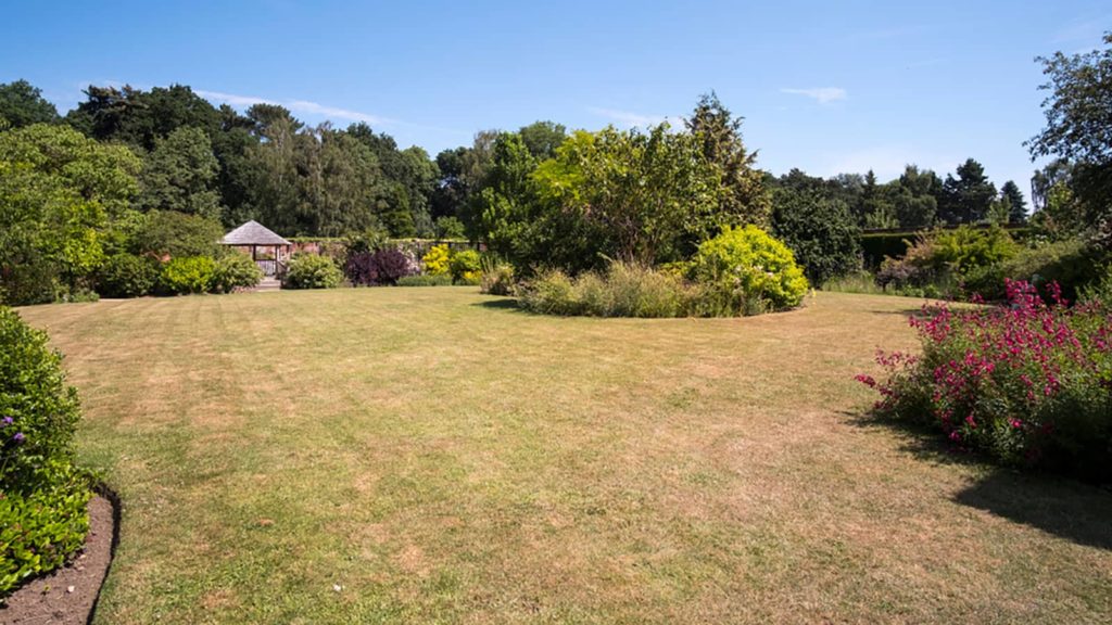 How to Bring Your Lawn Back From Drought Stress