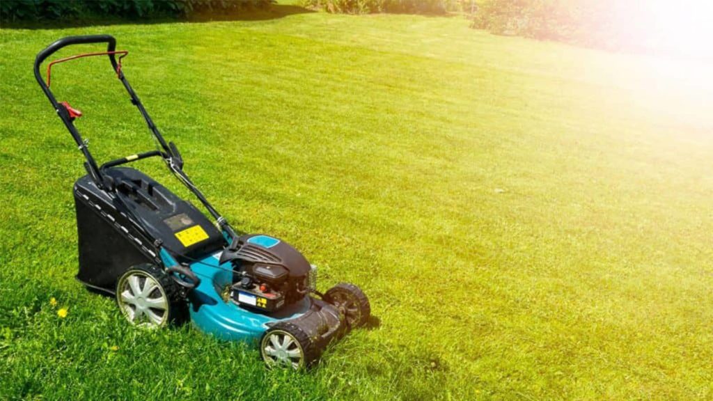 Lawn Mower Sunshine Summer Maintenance