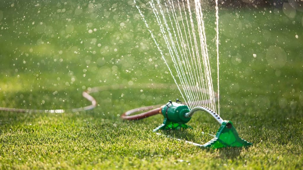 Sprinkler Watering Summer Lawn