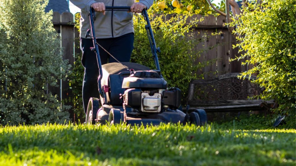 Mowing Lawn With Lawn Mower Summer Shade