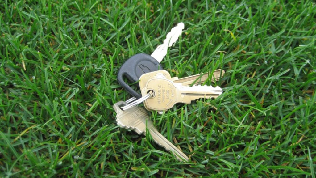 Top View Ryegrass Keys
