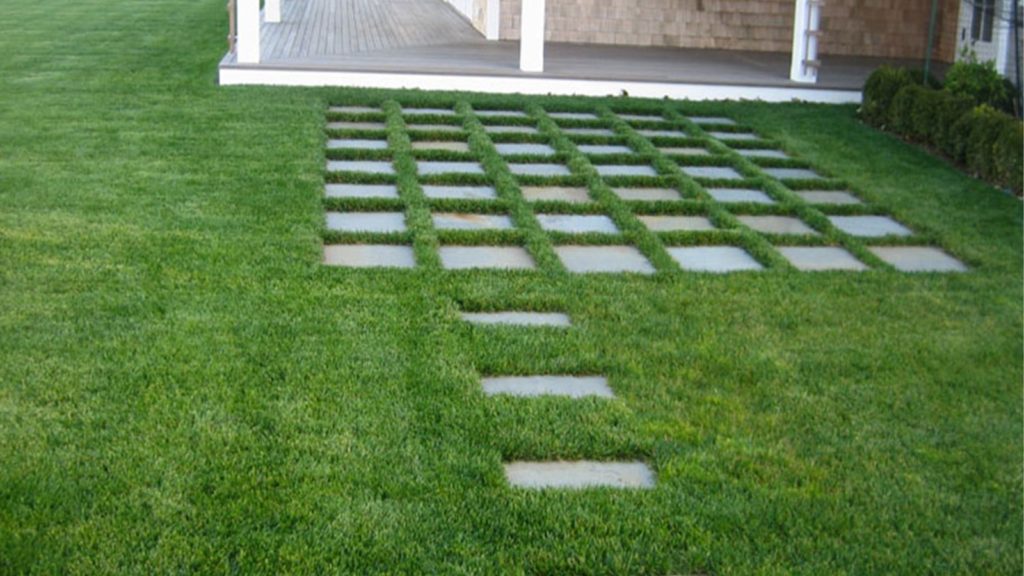 Tall Fescue Home Lawn