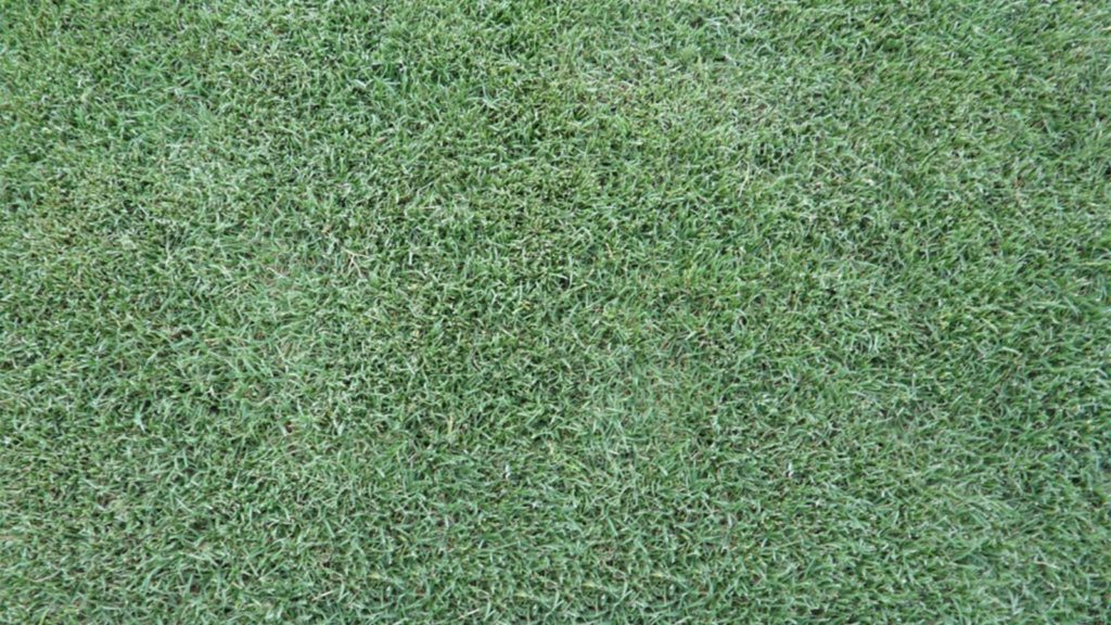 Celebration Bermuda Color Deep Blue Green