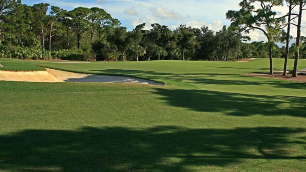 Celebration Bermuda Grass Golf Course Shade