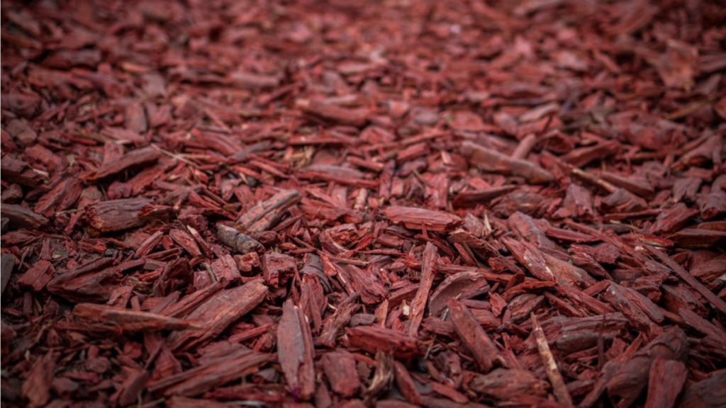 Close Up Of Red Mulch