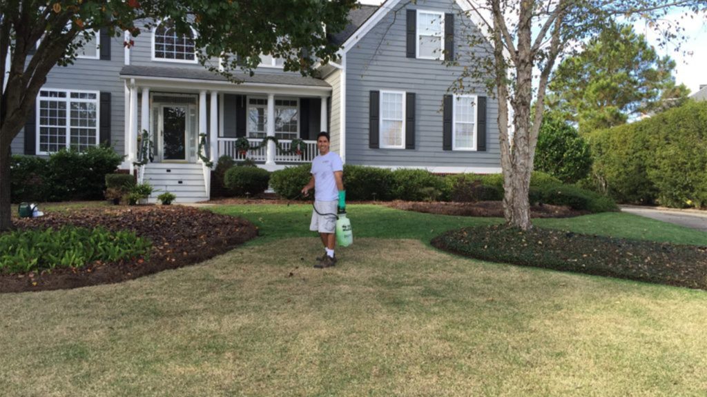 Man Applying Turf Colorant To Home Lawn Front Yard