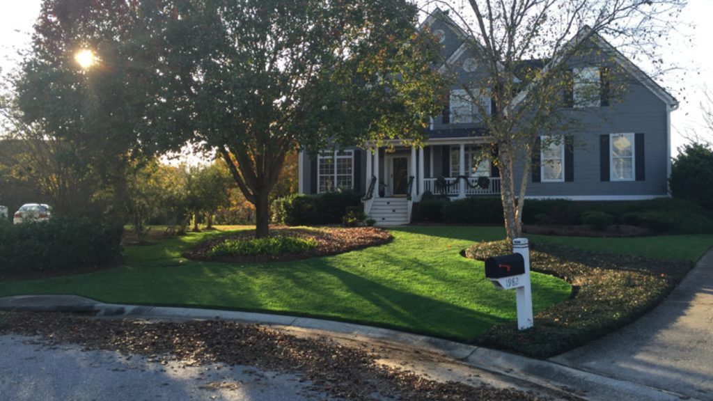 Home Lawn With Turf Colorant Applied