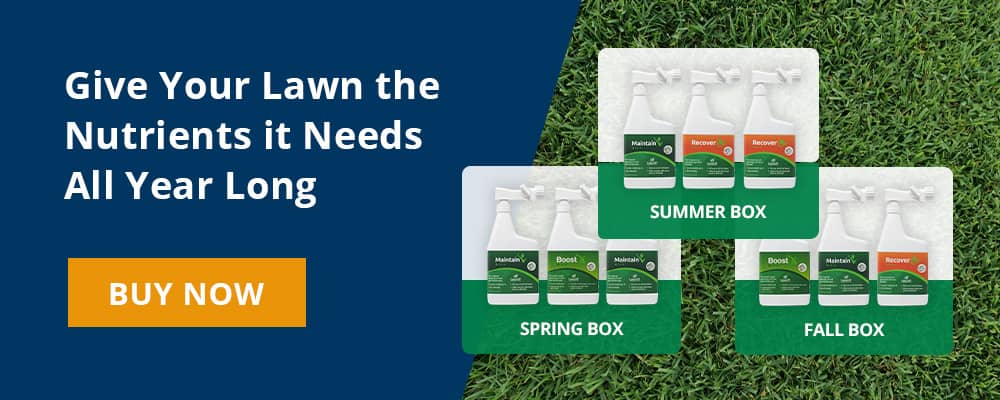 lawnifi annual fertilizer give your lawn the nutrients it needs all year long cta