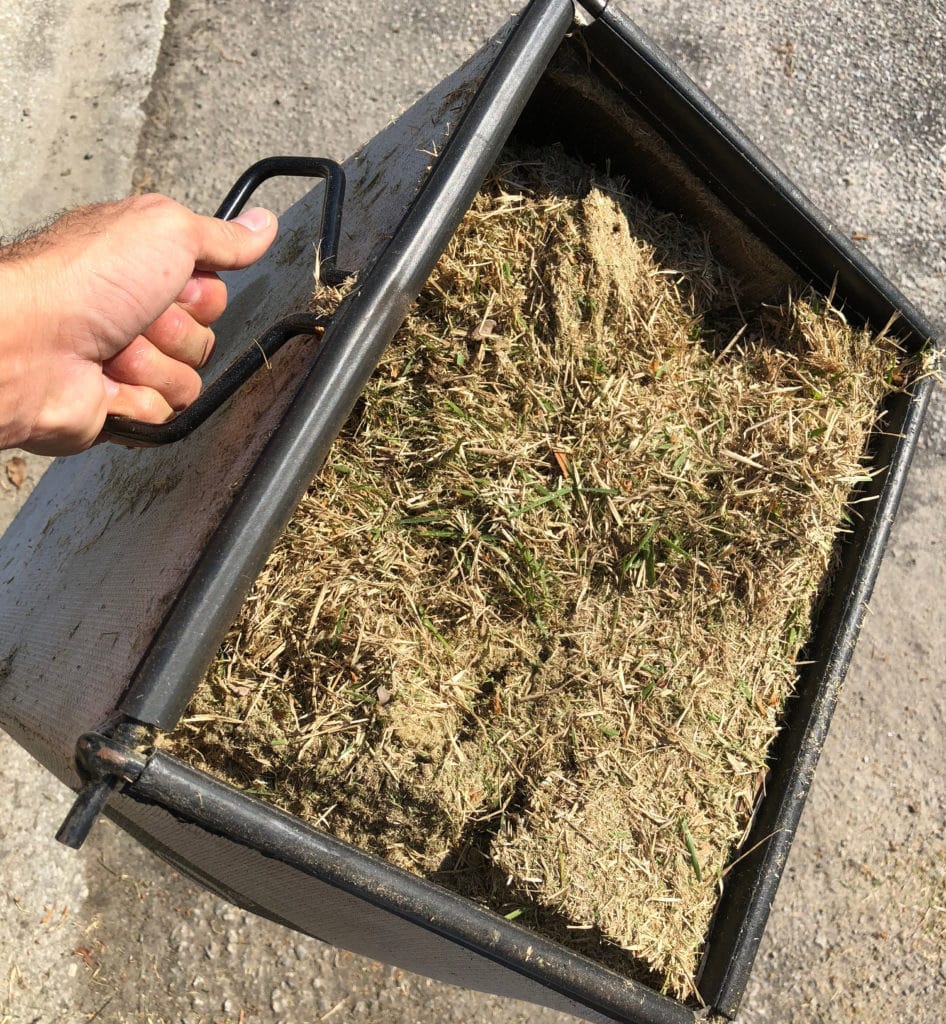 Bagging And Removing Lawn Clippings