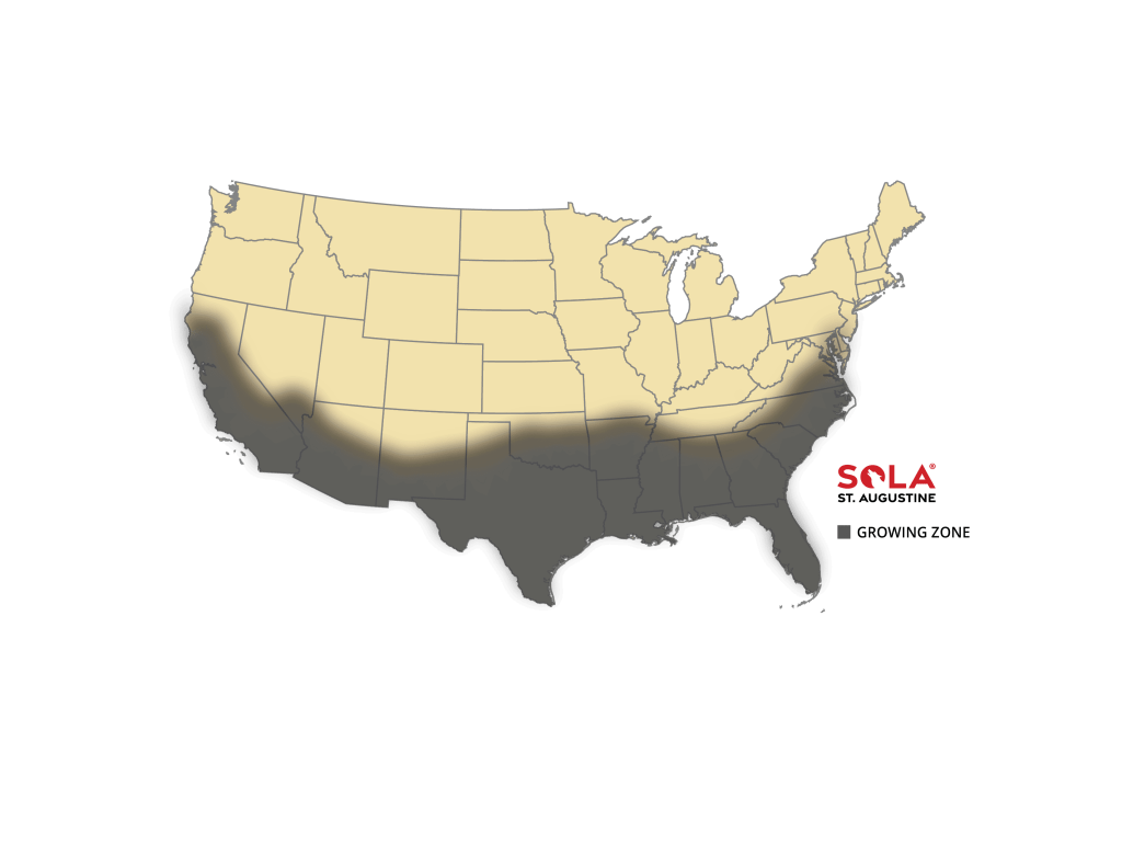 Sola St. Augustine Grass Sod Growing Map