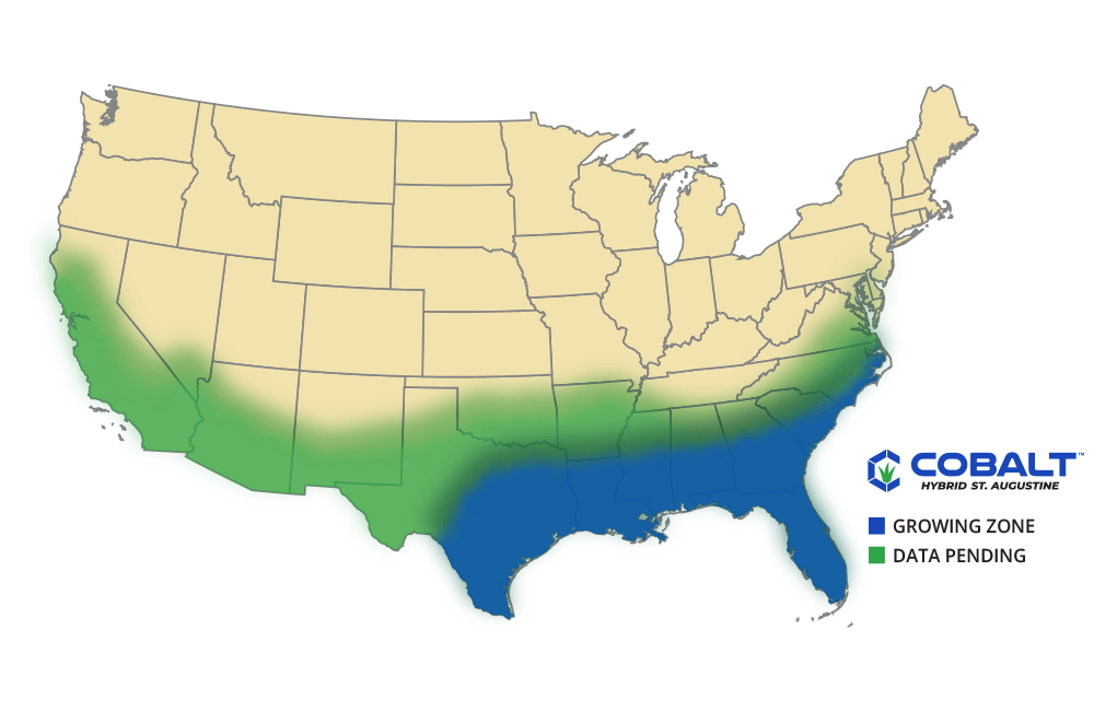 Cobalt St. Augustine grass sod growing map