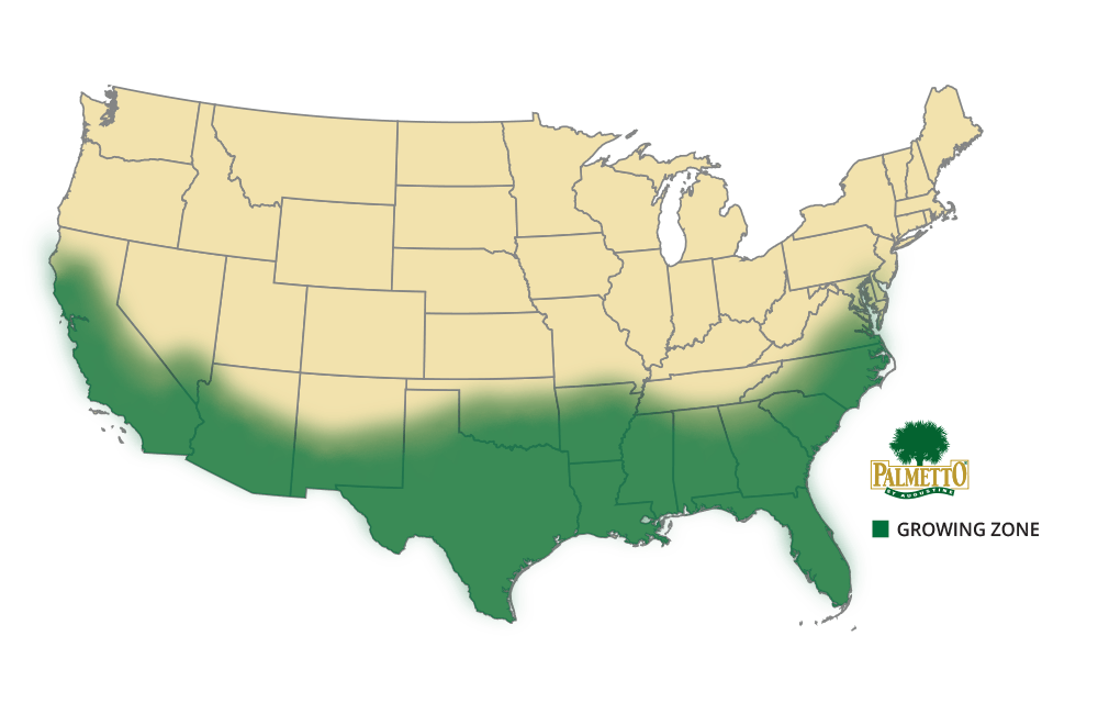 Palmetto St Augustine Growing Zone Map
