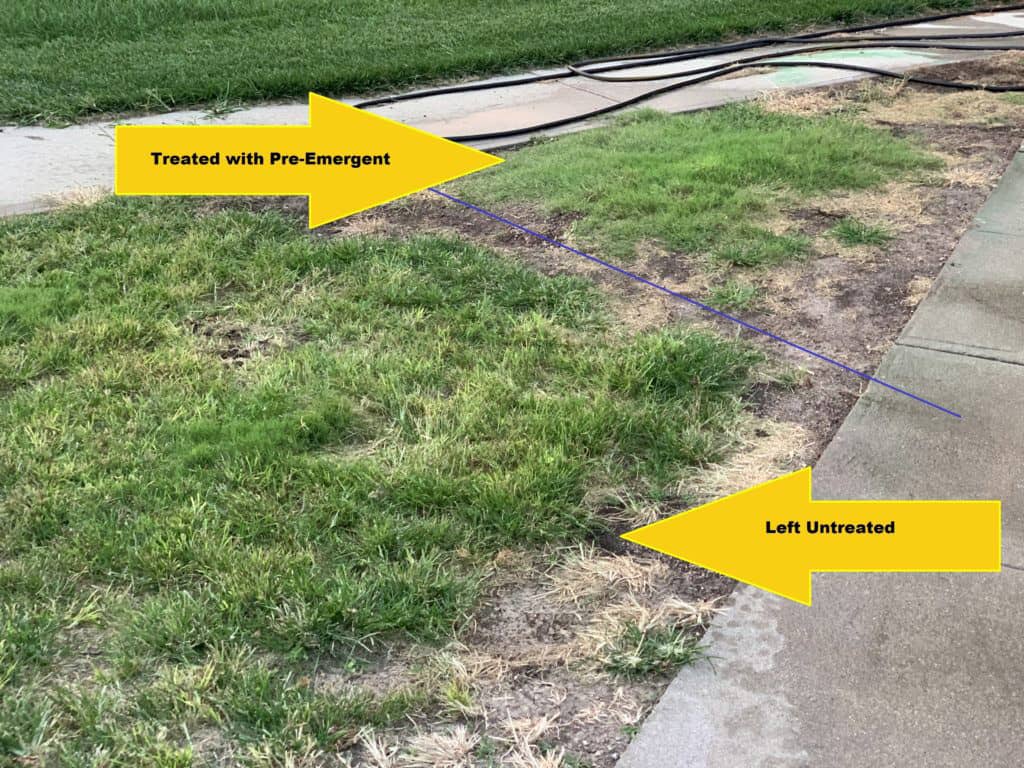 Pre Emergent Treated And Untreated Plot