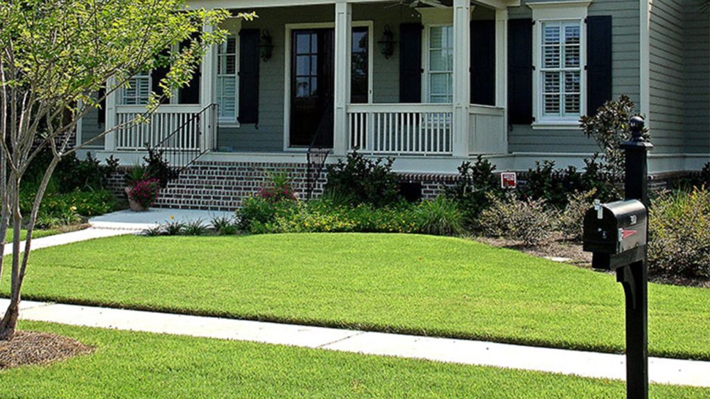 Front Yard Sidewalk Of Empire Zoysia Grass Home