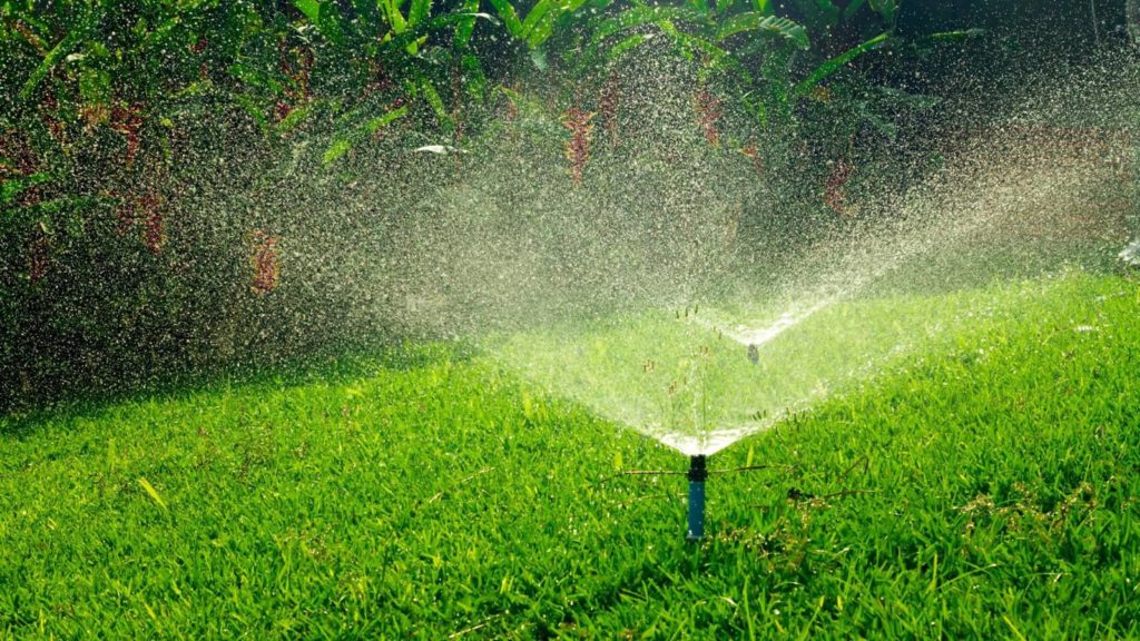 Two Sprinklers Watering Lawn Green Grass
