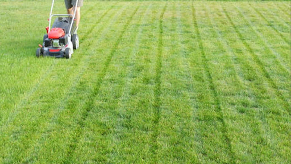 Man Pushing Lawn Mower Stripes