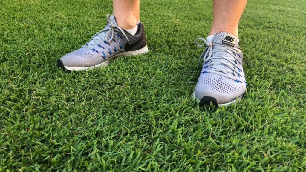 citrablue st augustine grass field shoes