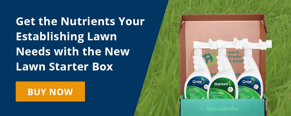 Cta Establishing A New Lawn New Lawn Starter Box