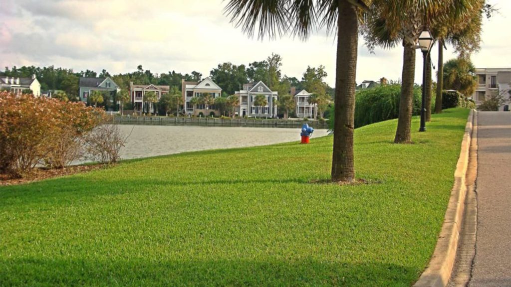 Palmetto St Augustine Grass Residential Home Pond Palm Trees Florida