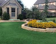 Tahoma 31 Bermuda Grass In Texas