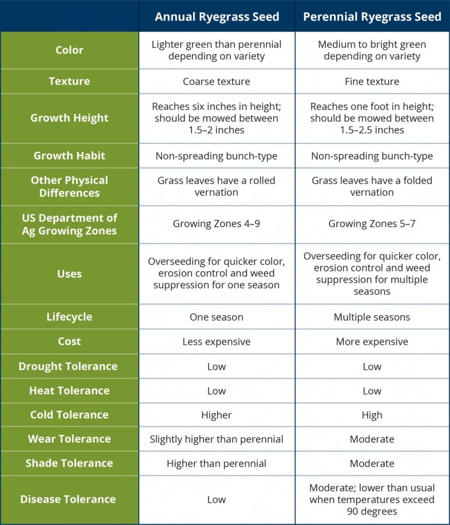 Annual Ryegrass Seed Versus Perennial Ryegrass Seed Comparison Chart