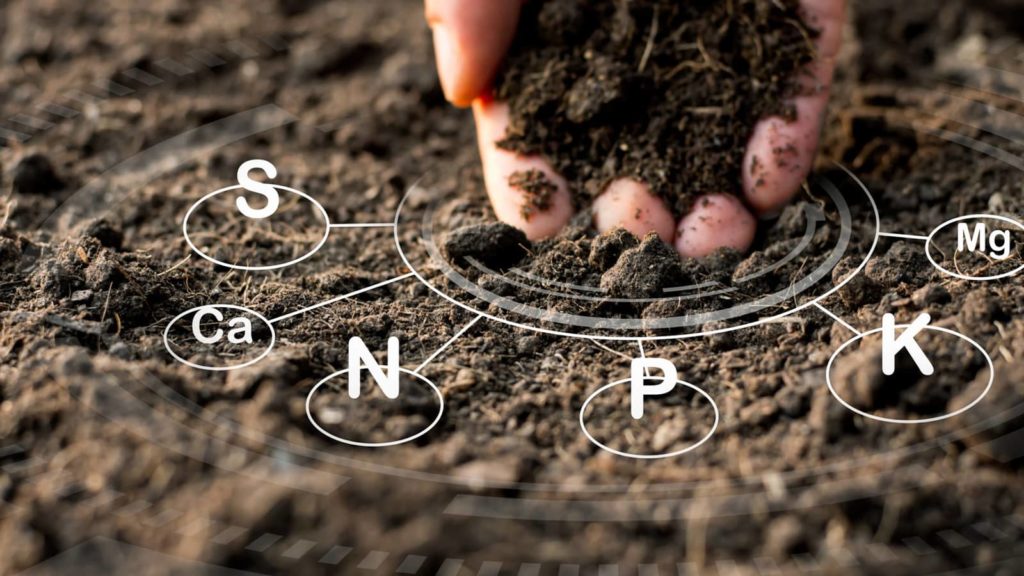 Hand Holding Soil Up Close Elements Labeled