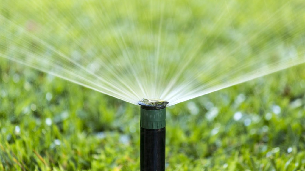 Irrigation Audit Watering Lawn