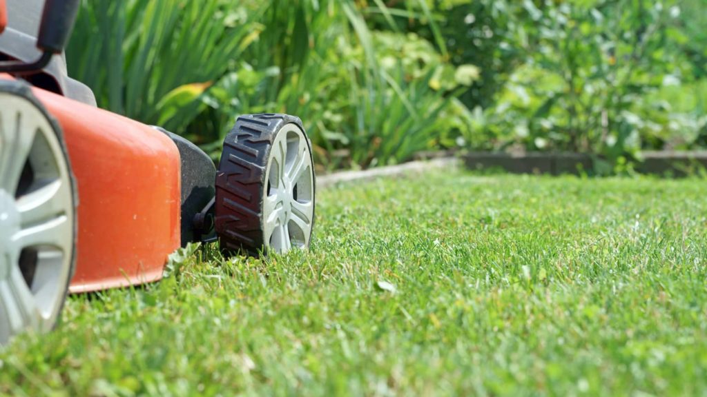 Close Up Of Lawn Mower On Lawn