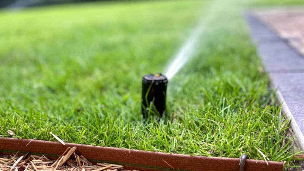 Close Up Of Watering Lawn With Sprinkler
