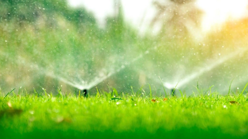 Watering grass with several sprinklers