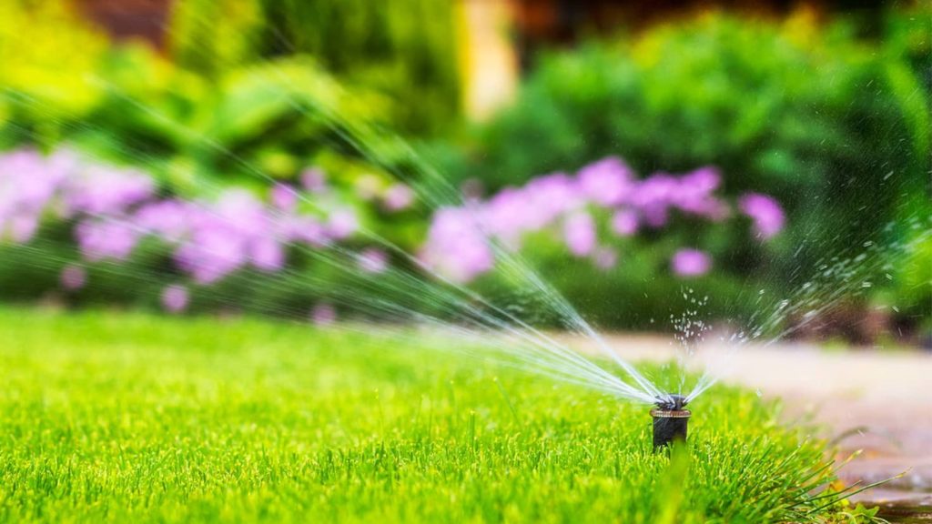 watering lawn with ground irrigation landscape
