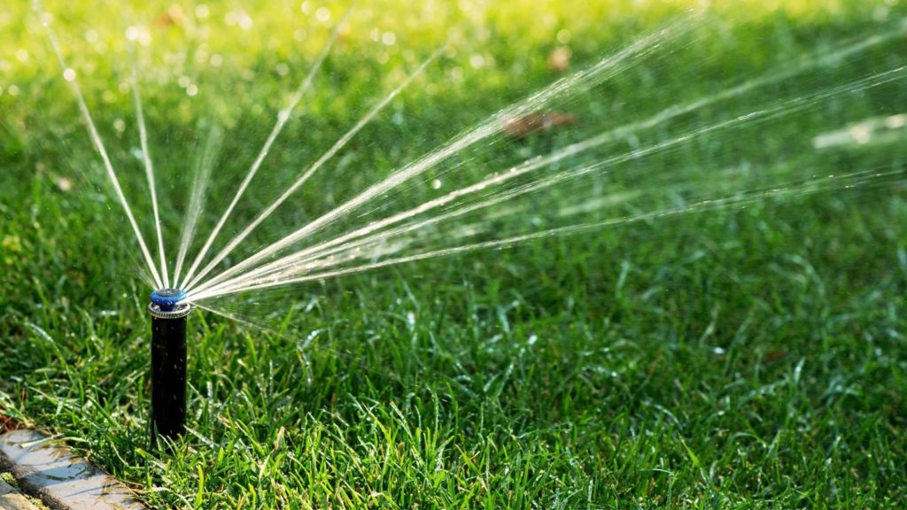 Irrigation Watering Lawn With Sprinkler