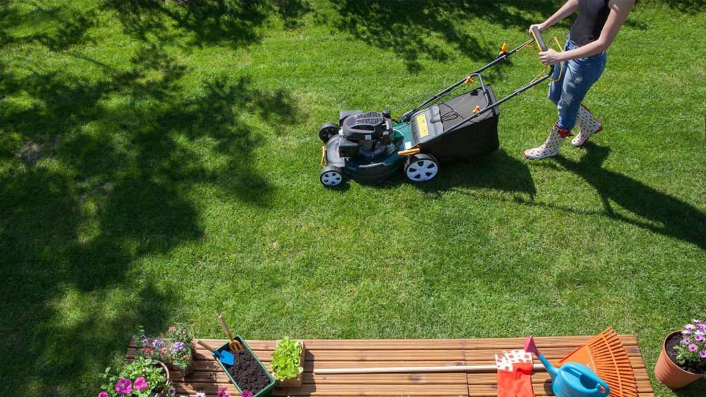 Mowing Lawn Mower Summer Shade