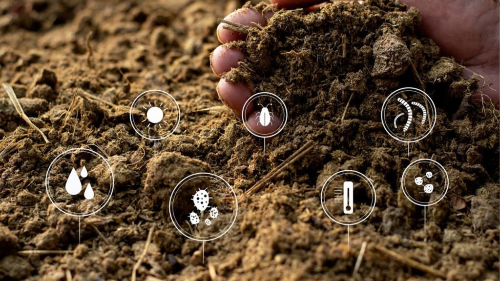 Soil Close Up Elements