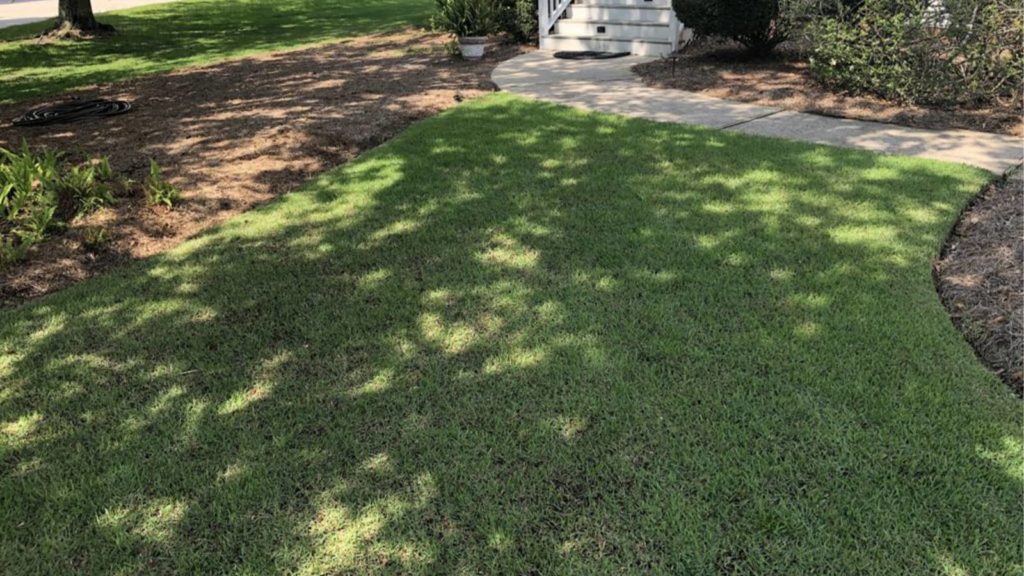 Home Lawn Two Weeks After Top Soil Applied