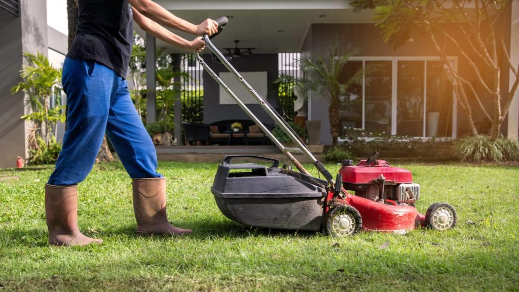 Woman Pushing Lawn Mower At Home