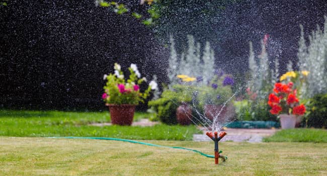 Lawn Sprinkler Watering Grass