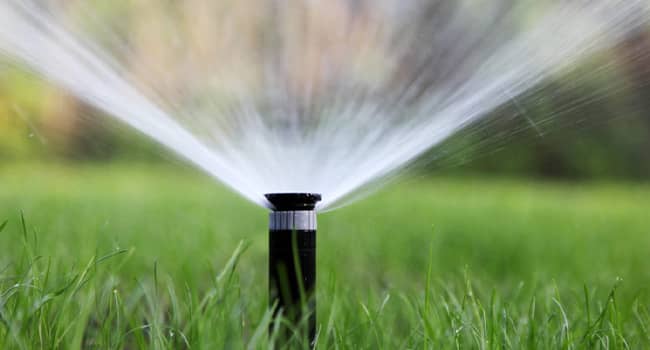 Irrigation Watering Grass