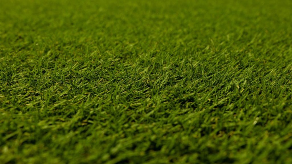 Latitude 36 Bermuda Blade Width And Texture