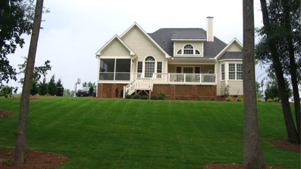 Zorro Zoysia Color Deep Green Min