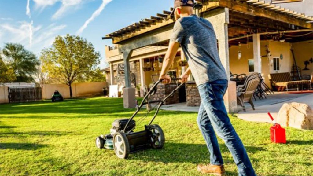 Mowing Lawn In The Summer