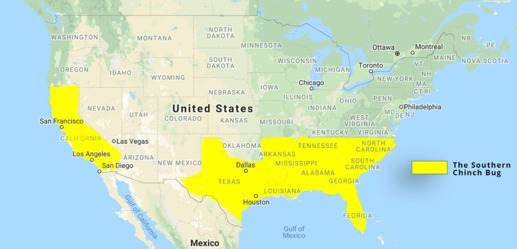 Southern Chinch Bug Distribution Map
