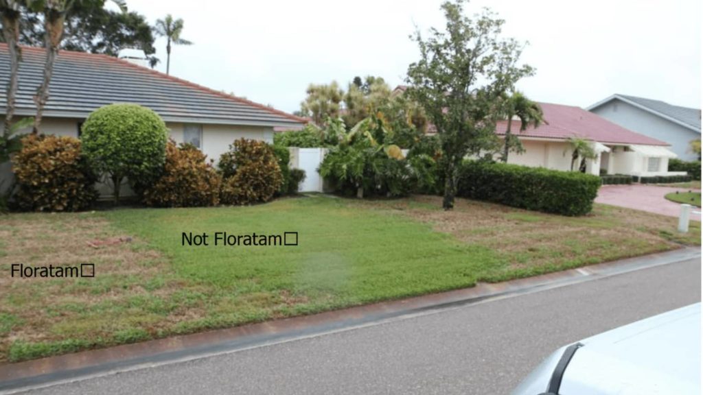 Floratam Vs. Non Floratam Research Resistance To LVN