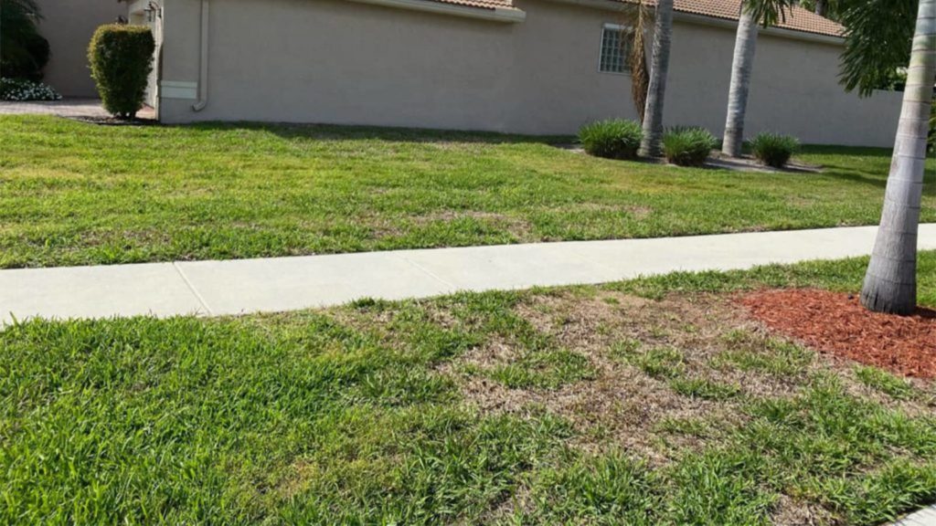 Floratam St. Augustine In Florida Affected By LVN